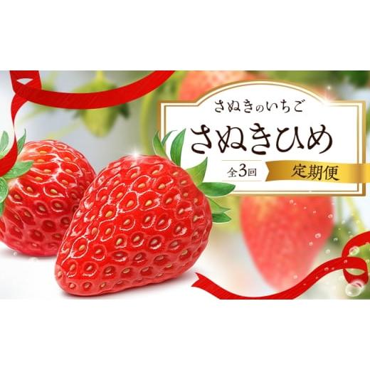 ふるさと納税 果物類 香川県 東かがわ市   さぬきのいちご「さぬきひめ」単体の定期便(3回)
