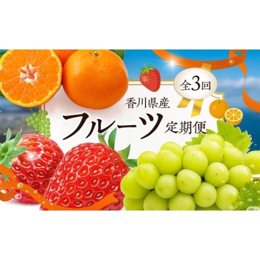 ふるさと納税 果物類 香川県 東かがわ市   フルーツ定期便(3回) さぬきひめ苺 温室シャインマスカット 温州みかん