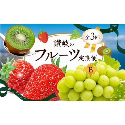 ふるさと納税 果物類 香川県 東かがわ市   2月、8月、11月 発送 讃岐のフルーツ定期便 B (3回) さぬきひめ苺 シャインマスカット さぬきキウイ…