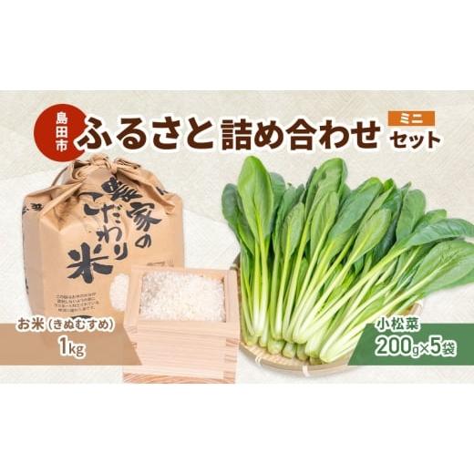 ふるさと納税 野菜類 静岡県 島田市   小松菜 お米(きぬむすめ) 詰め合わせ セット1 野菜 やさい こまつな 旬 国産 米 こめ コメ 産地直送 詰合…
