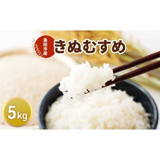 ふるさと納税 米 きぬむすめ 静岡県 島田市   お米 5kg(きぬむすめ) 米 コメ 精米 白米 ご飯 静岡県 島田市 配送不可:北海道、沖縄、離島