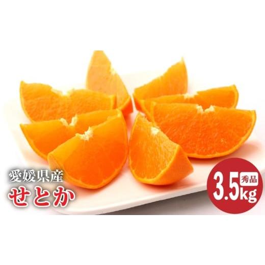 ふるさと納税 果物類 みかん 愛媛県 松山市 2026年2月上旬より発送 愛媛県産 せとか 秀品 約3.5kg | せとか みかん 高級 ギフト 贈り物 蜜柑 柑橘 数量限定 …