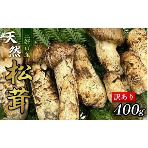 ふるさと納税 山菜・きのこ 徳島県 三好市 訳あり 松茸 400g 4〜10本 天然 希少 まつたけ マツタケ 国産 きのこ キノコ 産地直送 数量限定 秋 旬 高級 焼肉 焼…