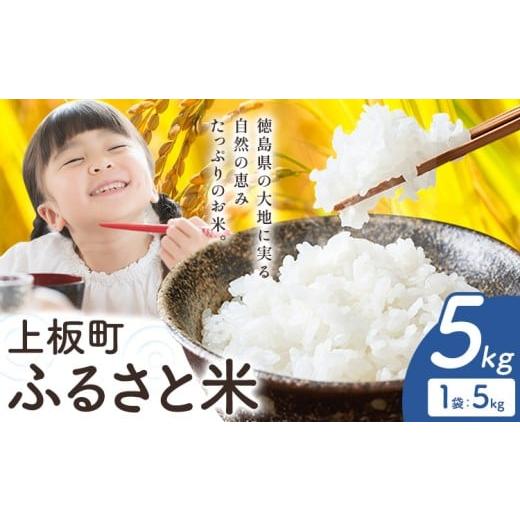 ふるさと納税 米 徳島県 上板町 もちもち美味しい 上板町ふるさと米 精米 5kg [10月中旬-11月末頃出荷]徳島県 上板町 お米 米 白米 約5kg