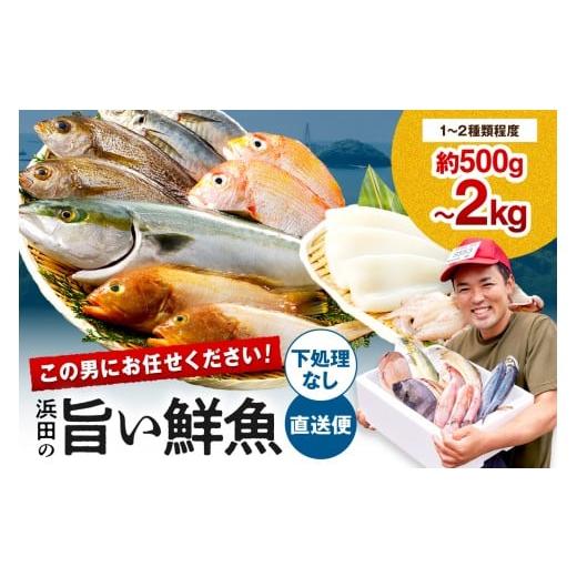 ふるさと納税 旬の鮮魚等 島根県 浜田市 この男にお任せ 浜田の厳選鮮魚お試し便(下処理なし) 006_2054