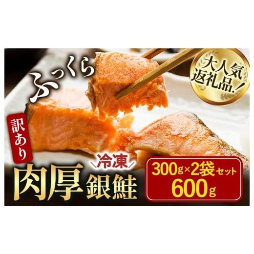 ふるさと納税 魚貝類 鮭 愛媛県 今治市 訳あり塩銀鮭切り身 600g(300g×2袋) V003250P2