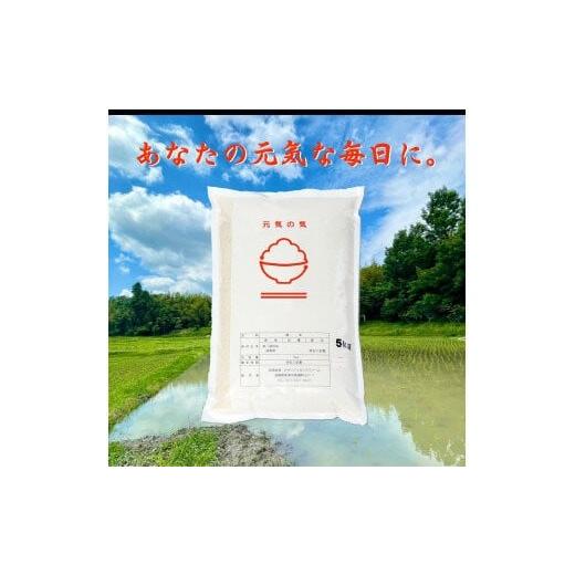 ふるさと納税 米 コシヒカリ 滋賀県 草津市 令和7年産 こだわり栽培米「コシヒカリ」(白米)5kg 白米
