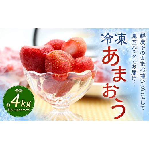 ふるさと納税 いちご 福岡県 太宰府市 福岡県産 冷凍あまおう 4kg （800g×5パック）あまおう いちご 苺 イチゴ フルーツ 果物_1