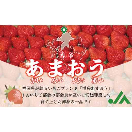 ふるさと納税 いちご 福岡県 太宰府市 福岡県産 冷凍あまおう 4kg （800g×5パック）あまおう いちご 苺 イチゴ フルーツ 果物_2