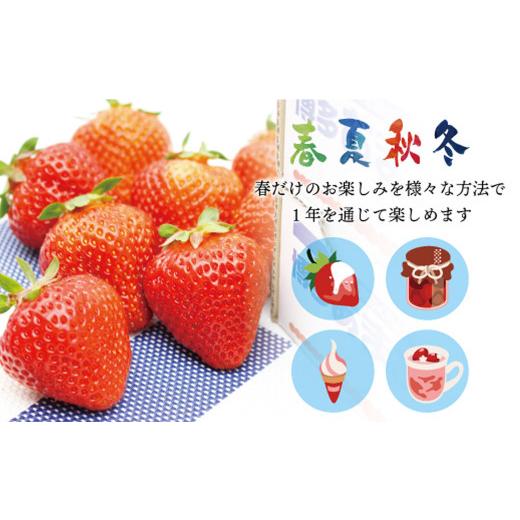 ふるさと納税 いちご 福岡県 太宰府市 福岡県産 冷凍あまおう 4kg （800g×5パック）あまおう いちご 苺 イチゴ フルーツ 果物_3
