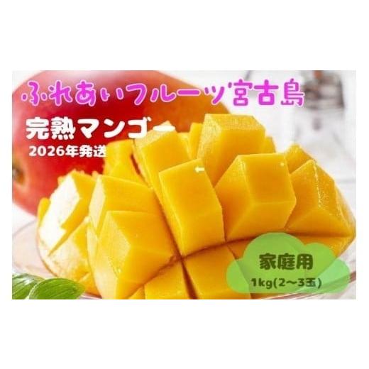 ふるさと納税 マンゴー 沖縄県 宮古島市 2026年夏発送 家庭用 激うま 宮古島産アップルマンゴー1kg(2〜3玉)ふれあいフルーツ宮古島 家庭用 激うま 宮古島産ア…