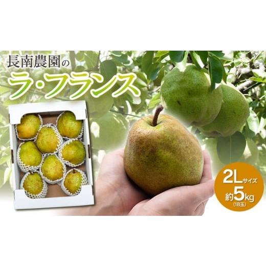 ふるさと納税 梨 山形県 鶴岡市 令和7年産 ラ・フランス 2Lサイズ 約5kg(18玉) 山形県鶴岡市産 (2025年11月13日頃〜発送) 長南農園