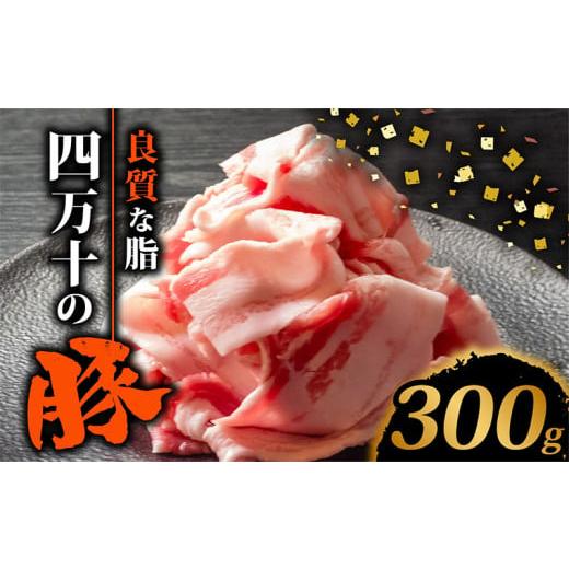 ふるさと納税 豚肉 バラ 高知県 須崎市 四万十ポークスライス300g | 豚肉 豚バラ肉 小分け 小間切れ スライス 切り落とし 冷凍 真空パック 簡単調理 細切れ 大…