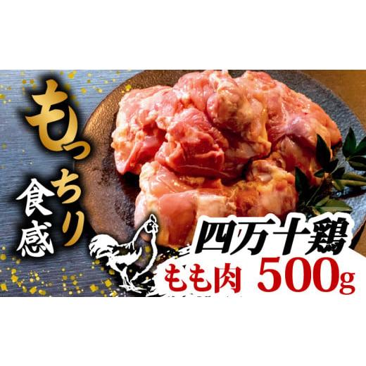 ふるさと納税 水炊き 高知県 須崎市 銘柄鶏 四万十鶏 もも肉 500g | 切身 カットでかんたん時短セット カット済み 鳥肉 とりにく 鶏もも 冷凍 国産 ブランド …