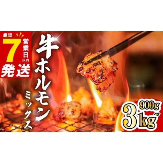 ふるさと納税 牛肉 ホルモン 奈良県 奈良市 ホルモン 牛 ミックス 3kg 300g×10パック 小分け 最短7営業日以内発送 味付き 肉 タレ漬け 牛ホルモン 冷凍 牛肉 …