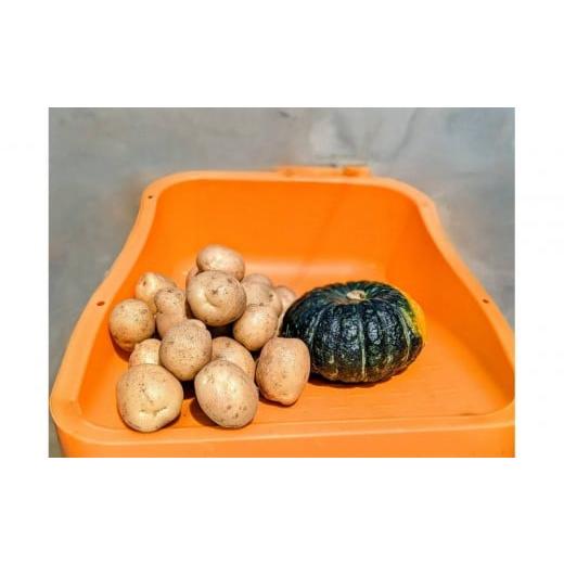 ふるさと納税 セット・詰合せ 北海道 江別市 Suage直営農園 新じゃが3kg&かぼちゃ1玉
