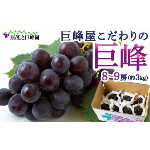 ふるさと納税 ぶどう 巨峰 福岡県 うきは市 先行予約 原茂之巨峰園 巨峰屋こだわりの巨峰 8房から9房 (約3kg) 2026年8月下旬〜9月上旬より順次発送予定 葡…