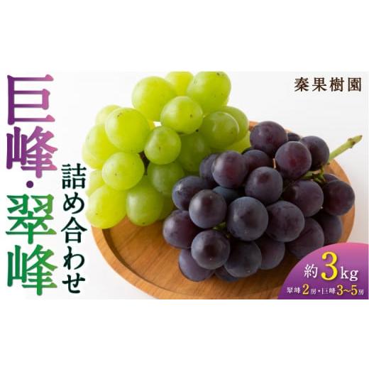ふるさと納税 ぶどう 巨峰 福岡県 うきは市 先行予約 秦果樹園 巨峰 ・ 翠峰 詰め合わせ 約3kg (巨峰 3から5房・翠峰 2房) 2026年8月下旬〜9月上旬より順次…