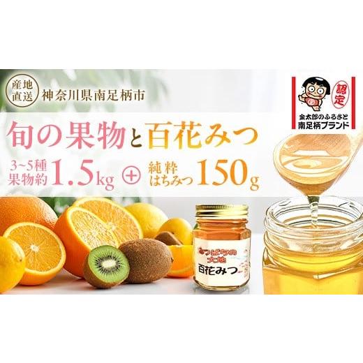 ふるさと納税 加工品等 はちみつ 神奈川県 南足柄市 旬の果物とはちみつのセット はちみつ 蜂蜜 ハニー 神奈川県 南足柄市