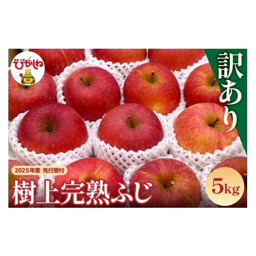 ふるさと納税 りんご 山形県 東根市 2025年産 山形県東根市 樹上完熟ふじ (訳あり)5kg JA提供 hi001-048