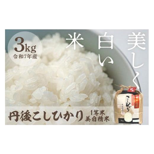 ふるさと納税 米 コシヒカリ 京都府 京丹後市 令和7年産 美白精米 丹後こしひかり 3kg 1等米 MU00053 通常発送