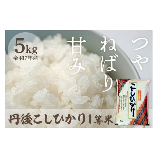 ふるさと納税 米 コシヒカリ 京都府 京丹後市 令和7年産 丹後こしひかり 5kg 1等米 MU00055 通常発送