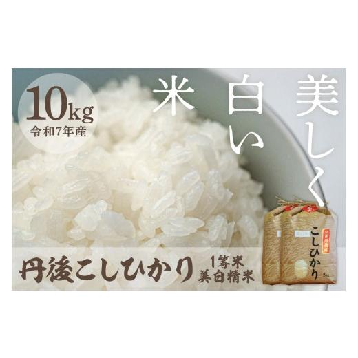 ふるさと納税 米 コシヒカリ 京都府 京丹後市 令和7年産 美白精米 丹後