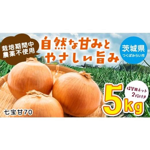 ふるさと納税 ねぎ・玉ねぎ 茨城県 つくばみらい市 先行予約 つくばみらい市産たまねぎ 5kg (七宝甘70)保管に便利な 貯蔵 ネット付 2026年5月より発送開始 …