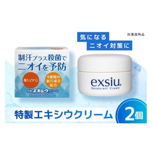 ふるさと納税 雑貨・日用品 山梨県 韮崎市 特製エキシウクリーム2個セット/30g×2個 医薬部外品 ニオイ対策 わきが あせ止め 体臭 汗 制汗 制汗剤 東京甲子社…