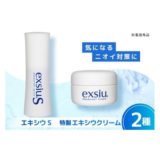ふるさと納税 雑貨・日用品 山梨県 韮崎市 特製エキシウクリーム(30g)×1個 エキシウS(38mL)×1個 2種セット 医薬部外品 ニオイ対策 わきが あせ止め 体臭…
