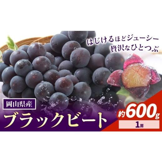 ふるさと納税 ぶどう 岡山県 浅口市 2026年先行予約 岡山県産 ぶどう ブラックビート 600g 1房 株式会社 はちや[2026年8月上旬-9月上旬頃出荷]岡山 国産 葡…