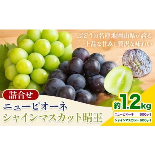 ふるさと納税 ぶどう マスカット 岡山県 浅口市 2026年先行予約 岡山県産 シャインマスカット「晴王」とニューピオーネ 計 1.2kg 株式会社はちや[2026年8月…