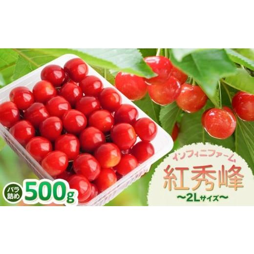 ふるさと納税 果物類 さくらんぼ 山形県 鶴岡市 令和8年産先行予約 インフィニファームのさくらんぼ「紅秀峰」バラ詰め 500g (2Lサイズ〜) K-848