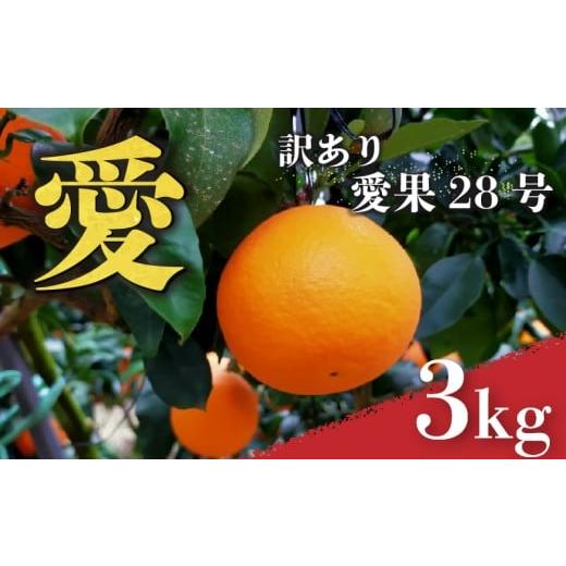ふるさと納税 果物類 みかん 愛媛県 松山市 愛媛 みかん 愛果28号 訳あり ご家庭用 3kg あいか 先行予約 2025年12月上旬から発送 | 紅まどんな と同品種 柑橘 …