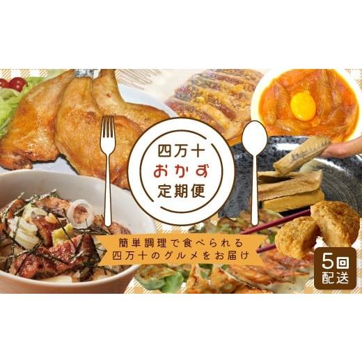 ふるさと納税 惣菜・レトルト 高知県 四万十市 5回定期便 簡単調理 でごちそう 四万十のおかず定期便 5回 毎月届く カツオ うなぎ コロッケ 餃子 ギョーザ チ…