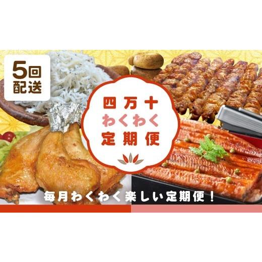 ふるさと納税 うなぎ 高知県 四万十市 5回定期便 四万十わくわく定期便5万円コース 定期便 5回 5万コース 魚介 魚 しらす シラス うなぎ ウナギ 鰻 豚肉 豚 …