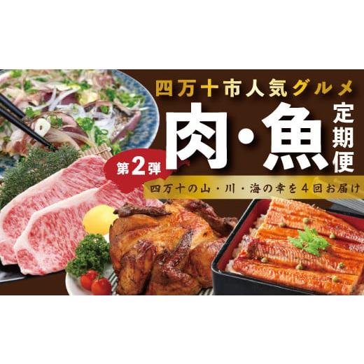 ふるさと納税 カツオ 高知県 四万十市 4ヵ月連続 定期便 四万十市 人気 魚介 & お肉 返礼品 第2弾 冷凍 4回 うなぎ 鰻 蒲焼 かつお 鰹 たたき 黒毛和牛 牛肉 …