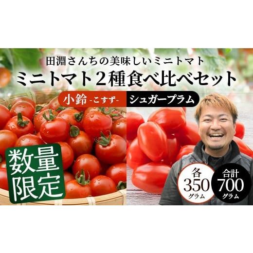 ふるさと納税 トマト ミニトマト 鹿児島県 南大隅町 数量限定 ミニトマト2種食べ比べセット(350g×2種) GP-3|ミニトマト 野菜 やさい 食品 人気 おすすめ …