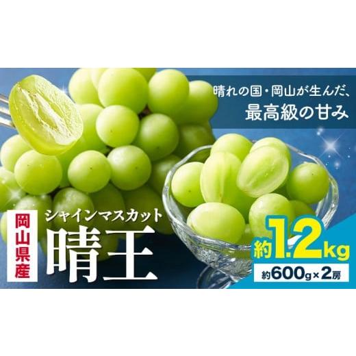 ふるさと納税 ぶどう マスカット 岡山県 浅口市 2026年先行予約 岡山県産 シャインマスカット 晴王 計 1.2kg 2房 株式会社はちや[2026年7月上旬‐8月下旬頃…