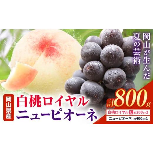 ふるさと納税 もも 岡山県 浅口市 2026年先行予約 岡山県産 白桃ロイヤル ニューピオーネ 詰合せ 選べる 計800g 株式会社はちや[2026年7月上旬‐8月下旬頃出…