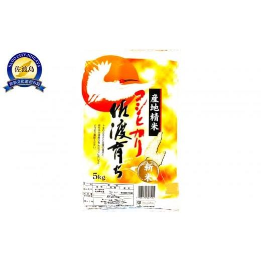 ふるさと納税 米 コシヒカリ 新潟県 佐渡市 「令和7年産」コシヒカリ 佐渡育ち 5kg
