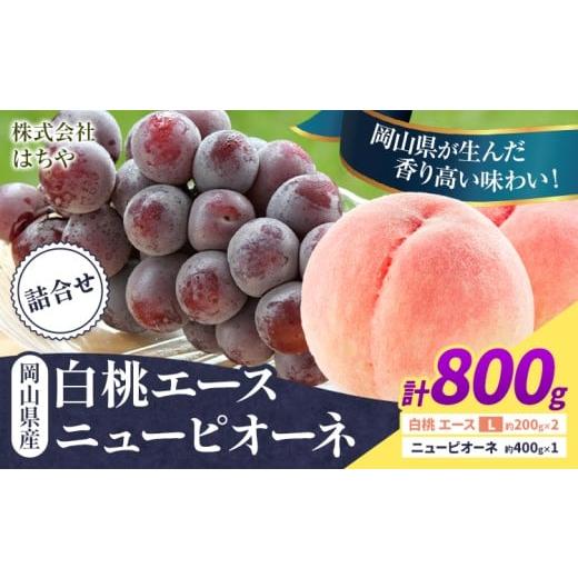 ふるさと納税 もも 岡山県 浅口市 2026年先行予約 岡山県産 岡山白桃 エース ニューピオーネ 計 800g 詰合せ 株式会社 はちや[2026年7月上旬‐8月下旬頃出荷…
