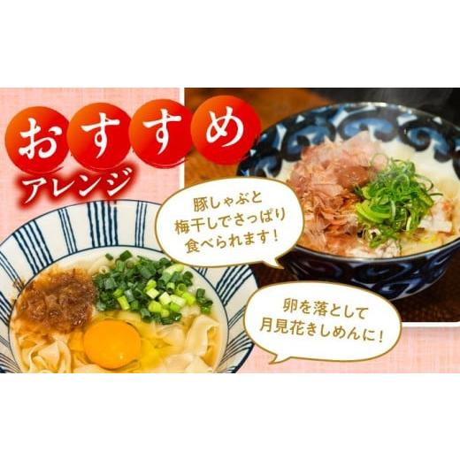 ふるさと納税 うどん 生・半生めん 愛知県 愛西市  8人前×3回定期便 うどん 花きしめん 定期便 きしめん 冷凍 愛知 名古屋 名物 麺 平麺 生麺 生めん ゆで麺 …_6