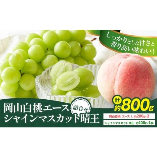 ふるさと納税 もも 岡山県 浅口市 2026年先行予約 岡山県産 岡山白桃 エース L~ 3Lサイズ シャインマスカット 計 800g 詰合せ 株式会社 はちや[2026年7月上…