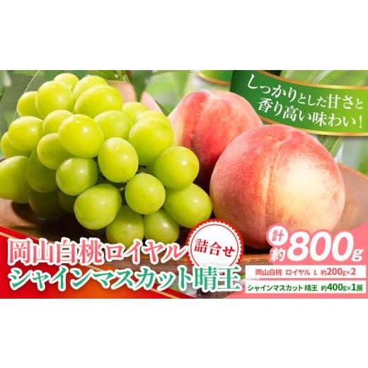 ふるさと納税 もも 岡山県 浅口市 2026年先行予約 岡山県産 岡山白桃 ロイヤル L~ 3Lサイズ シャインマスカット 計 800g 詰合せ 株式会社 はちや[2026年7月…