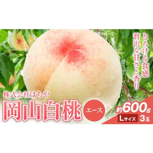 ふるさと納税 もも 岡山県 浅口市 2026年先行予約 岡山白桃 等級 エース 約600g[2026年7月上旬‐8月下旬頃出荷]株式会社 はちや もも モモ 岡山 国産 フル…