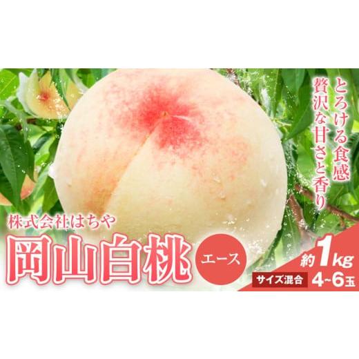 ふるさと納税 もも 岡山県 浅口市 2026年先行予約 岡山白桃 等級 エース 約1kg[2026年7月上旬‐8月下旬頃出荷]株式会社 はちや もも モモ 岡山 国産 フルー…