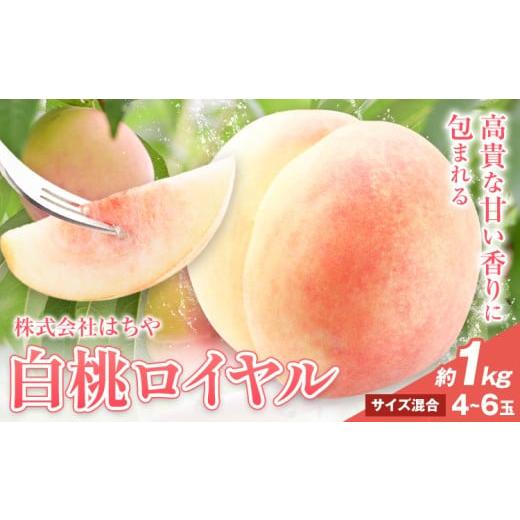 ふるさと納税 もも 岡山県 浅口市 2026年先行予約 岡山白桃 等級 ロイヤル 約1kg[2026年7月上旬‐8月下旬頃出荷]もも モモ 岡山 国産 フルーツ 果物 岡山県…