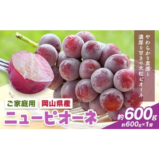 ふるさと納税 果物類 ぶどう 岡山県 浅口市 2026年先行予約 岡山県産 ご家庭用 ニューピオーネ詰合せ 計600g 株式会社はちや[2026年8月下旬-9月下旬頃出荷]…