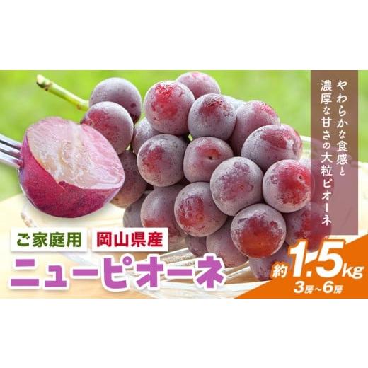 ふるさと納税 果物類 ぶどう 岡山県 浅口市 2026年先行予約 岡山県産 ご家庭用 ニューピオーネ詰合せ 計1.5kg 株式会社はちや[2026年8月下旬-9月下旬頃出荷…